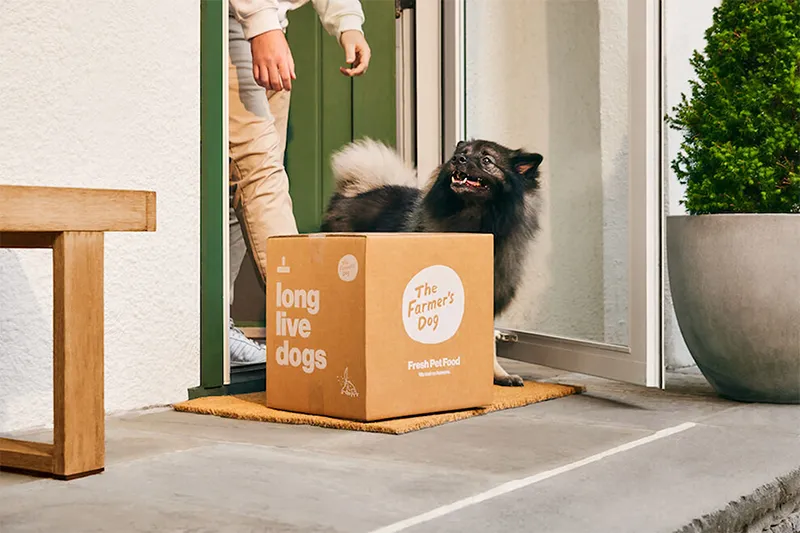 Viral-Ready Unboxing Pet Subscription Boxes corrugated